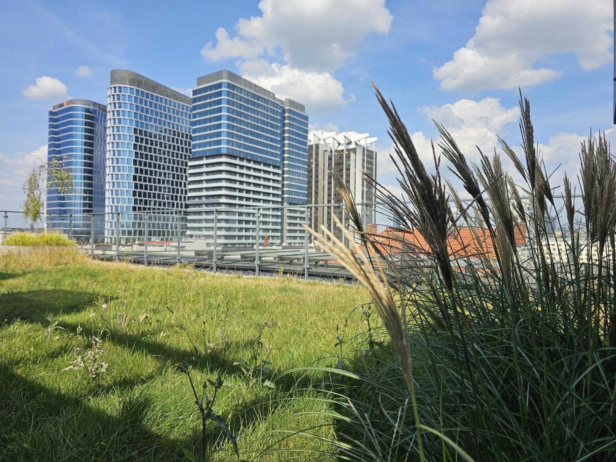 Urban Apartments Premium, Opolska 10 No 91, Free Garage, Self Check-In Katowice Exteriör bild